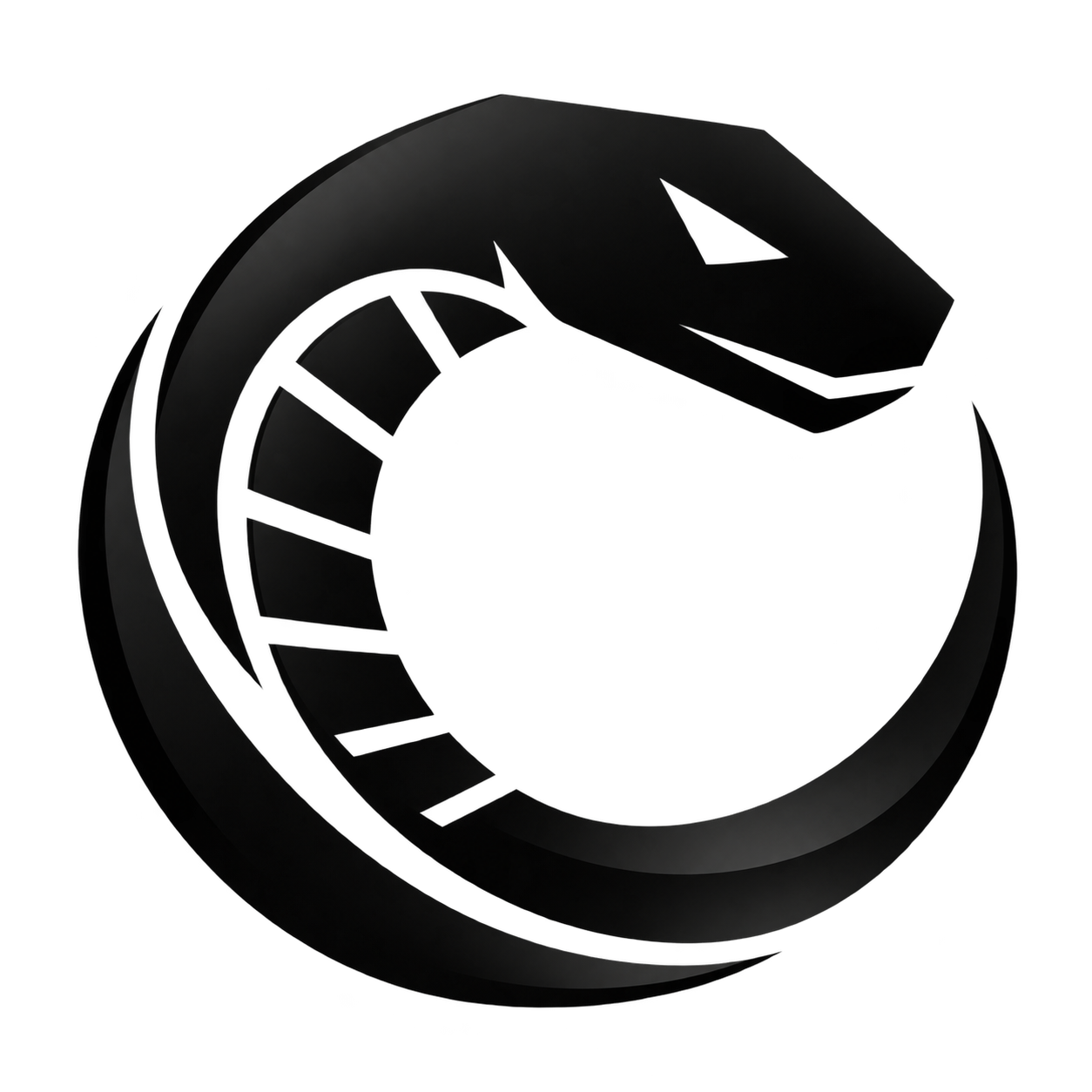 Logo Orochi GSX